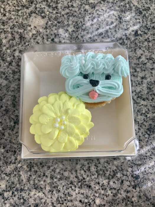 114大學體驗營-新北淡江高中圖片